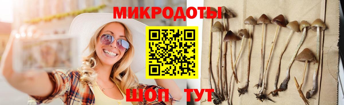Галлюциногенные грибы мухоморы Ртищево